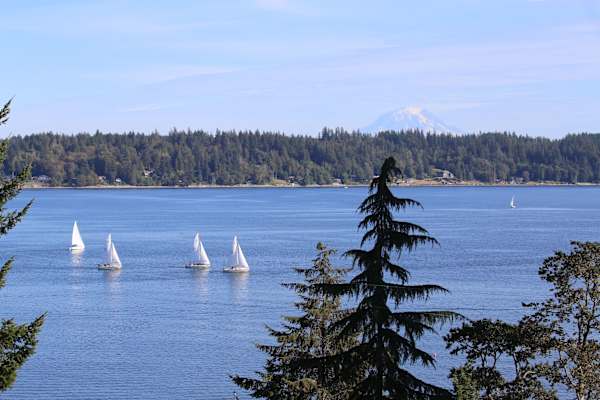 House sit in Allyn, WA, US