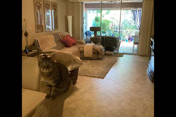 House sit in Naples, FL, US
