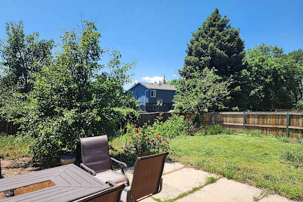 House sit in Colorado Springs, CO, US