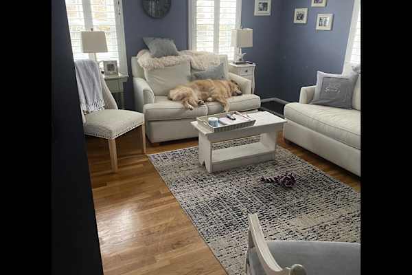 House sit in Harwich, MA, US