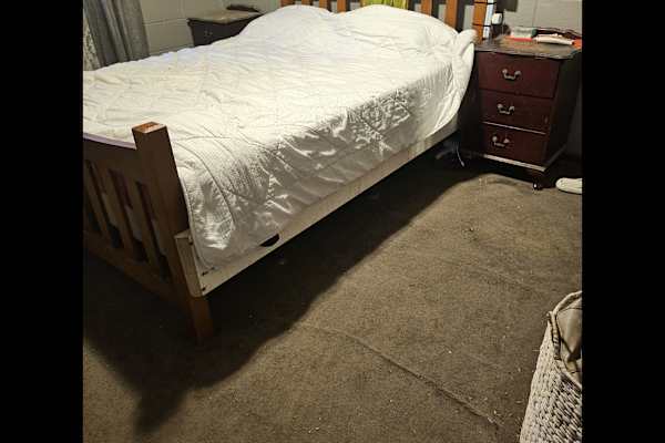 House sit in Adelaide, SA, Australia