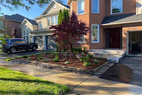 House sit in Meadowvale Village, ON, Canada