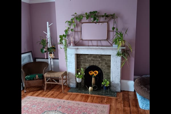 House sit in Margate, United Kingdom