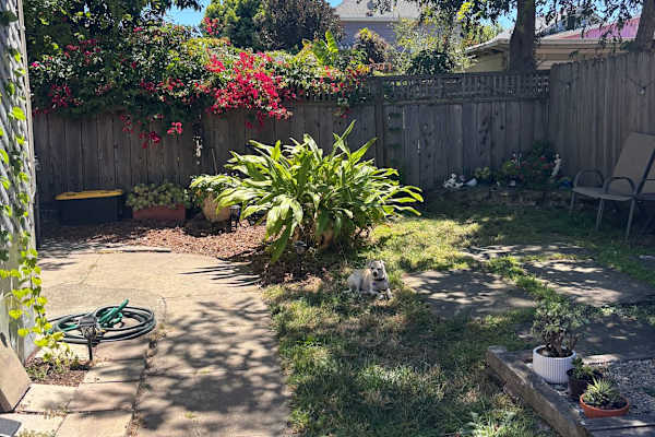 House sit in Alameda, CA, US