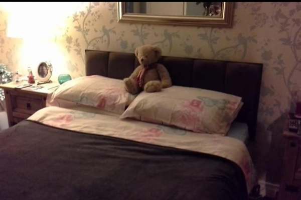 House sit in Dalbeattie, United Kingdom