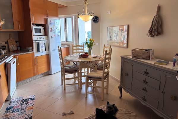 House sit in Tavira, Portugal