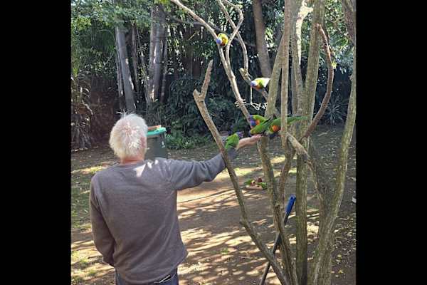 House sit in Sydney, NSW, Australia