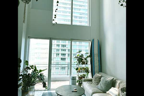 House sit in Miami, FL, US