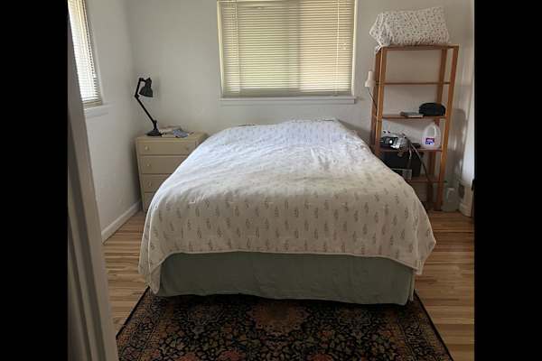 House sit in Fort Collins, CO, US