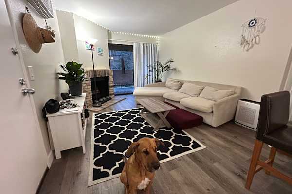 House sit in Tierrasanta, CA, US