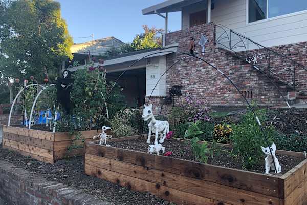 House sit in Oakland, CA, US