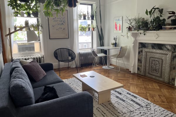 House sit in Brooklyn, NY, US