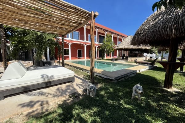 House sit in Mérida, Mexico
