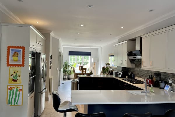 House sit in Guildford, United Kingdom