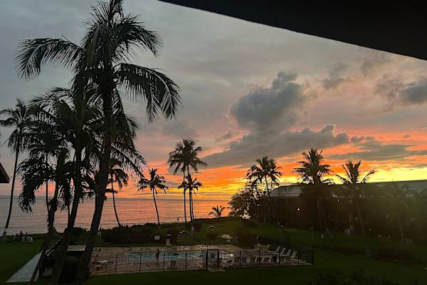 House sit in Kaunakakai, HI, US