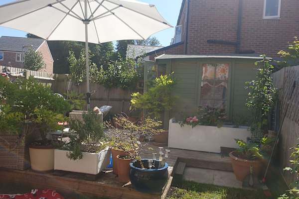 House sit in Blandford Forum, United Kingdom