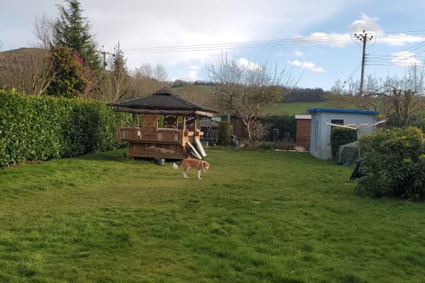 House sit in Great Malvern, United Kingdom