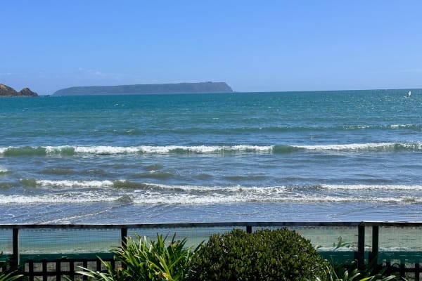 House sit in Plimmerton, New Zealand