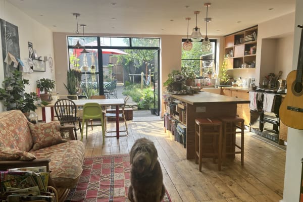 House sit in Bristol, United Kingdom