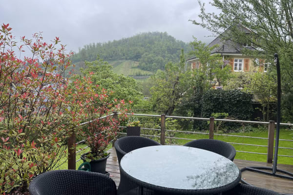 House sit in Basel, Switzerland