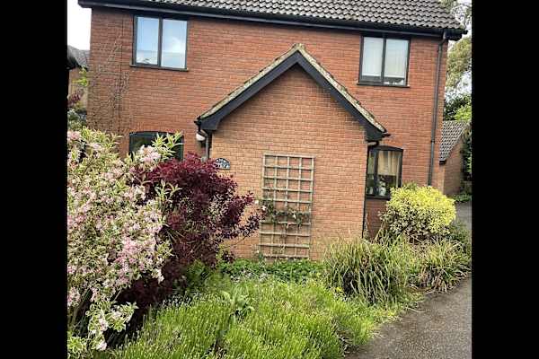 House sit in Woodbridge, United Kingdom