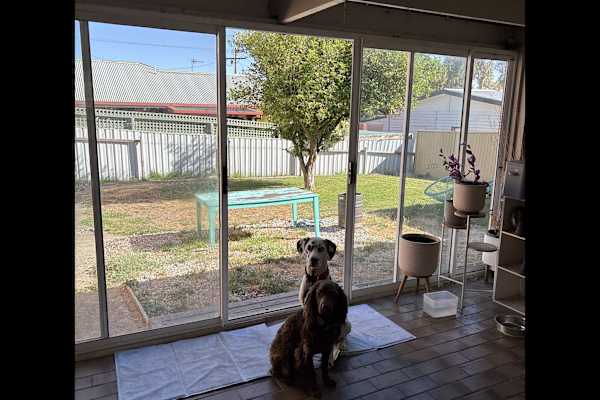 House sit in Ballarat, VIC, Australia