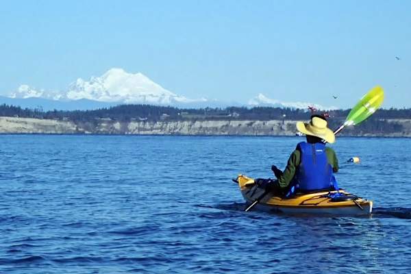 House sit in Port Townsend, WA, US