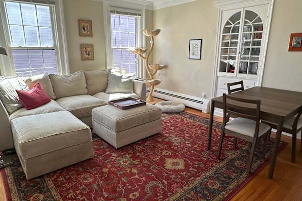 House sit in New Haven, CT, US