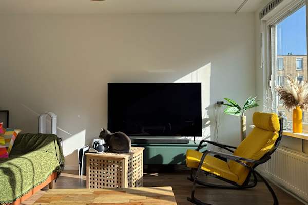 House sit in Amsterdam, Netherlands