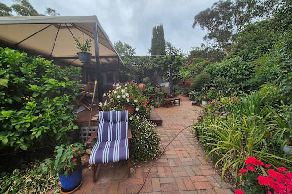 House sit in Canberra, Australian Capital Territory, Australia