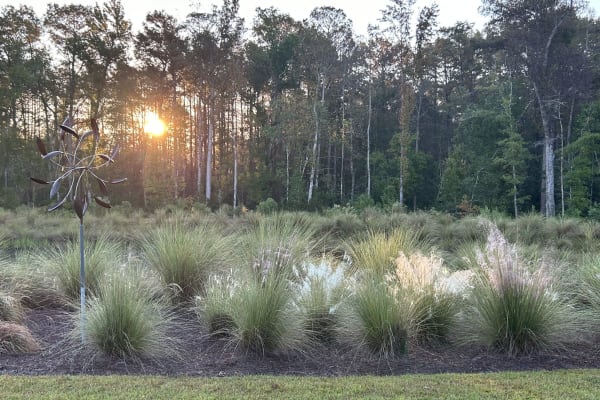 house sitting jobs wilmington nc House sit in Leland, NC, US