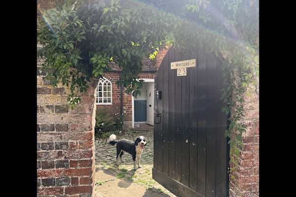 House sit in Watlington, United Kingdom