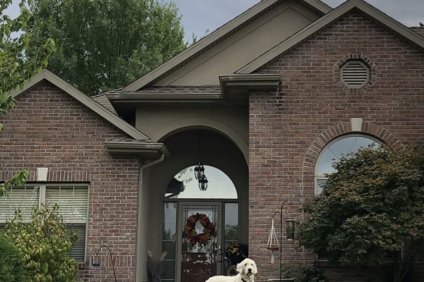 House sit in Columbia, MO, US