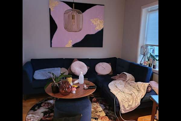 House sit in Trondheim, Norway