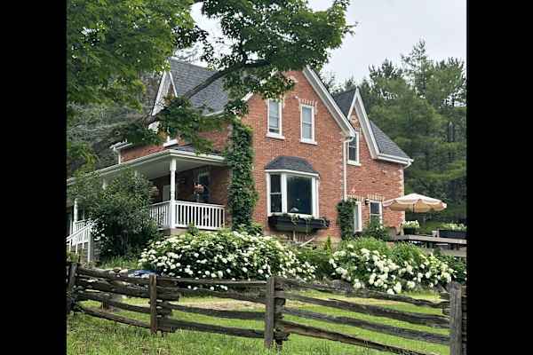 House sit in Kimberley Park, ON, Canada