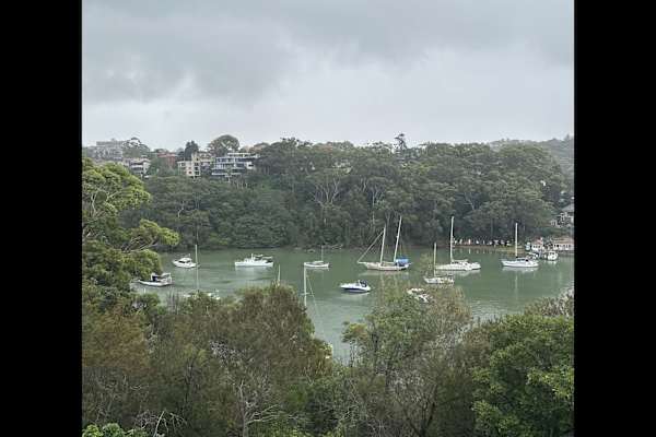 House sit in Sydney, NSW, Australia