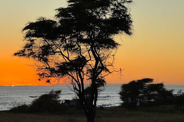 House sit in Kekaha, HI, US