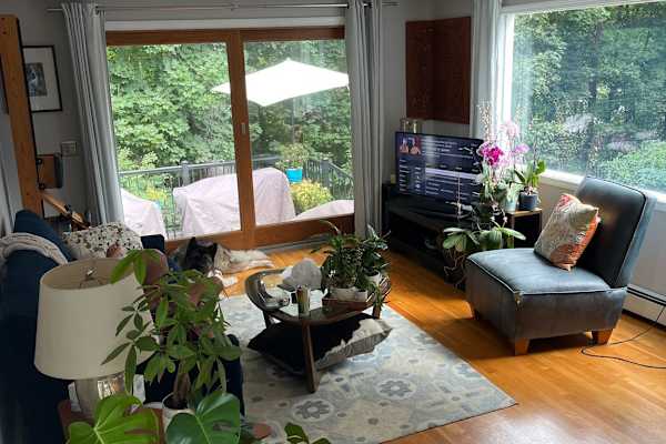 House sit in Boston, MA, US