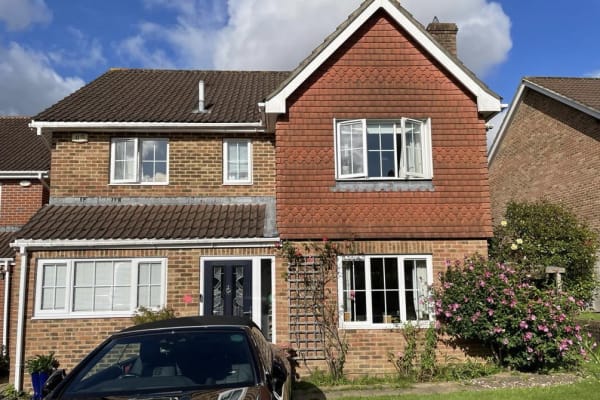 House sit in Petersfield, United Kingdom