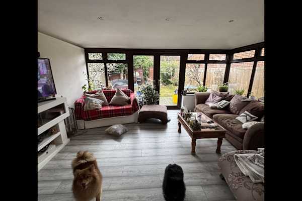 House sit in Witham, United Kingdom