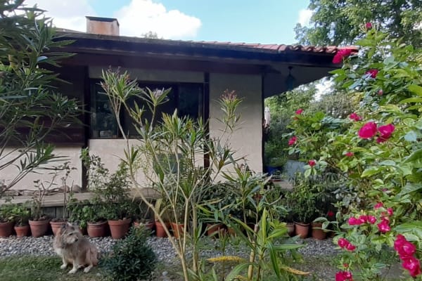 House sit in Montbrun-Bocage, France