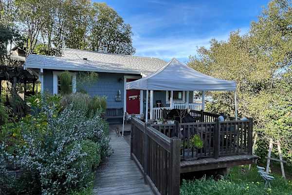 House sit in Novato, CA, US