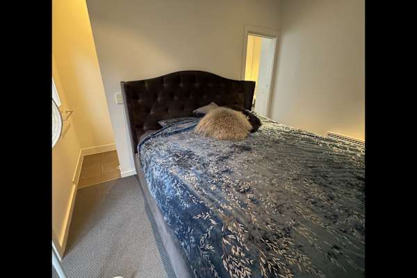 House sit in Melbourne, VIC, Australia