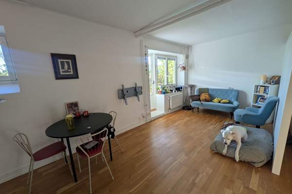 House sit in Stockholm, Sweden