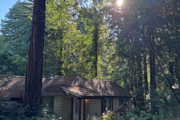 House sit in Felton, CA, US