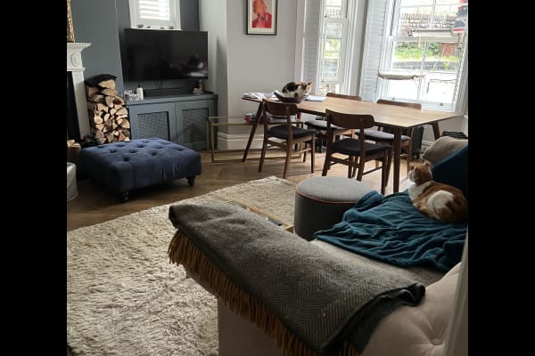 House sit in Camberwell, United Kingdom