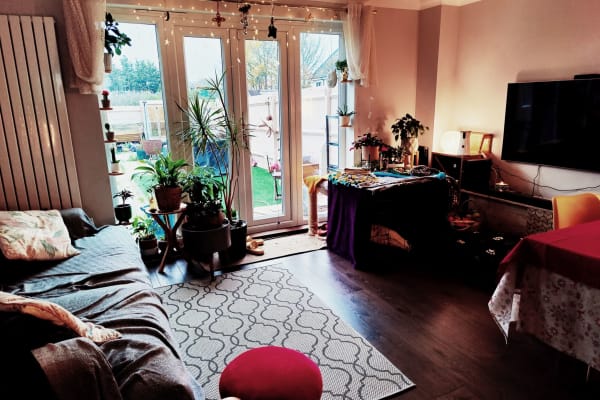 House sit in Southend-on-Sea, United Kingdom