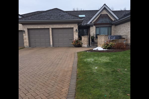 House sit in London, ON, Canada