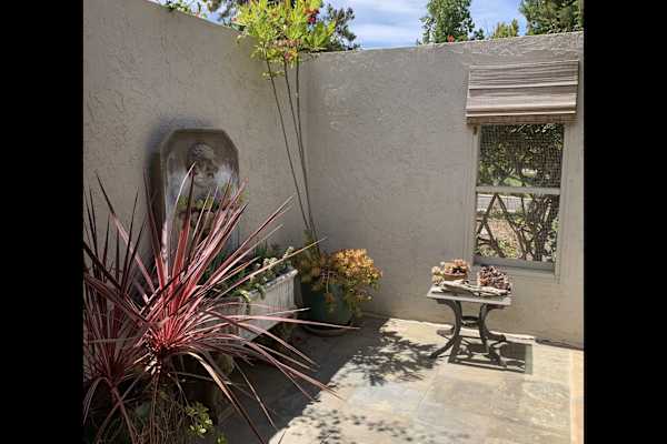 House sit in Encinitas, CA, US