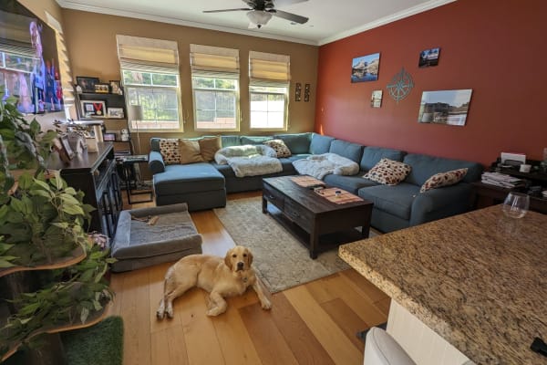 House sit in Los Angeles, CA, US